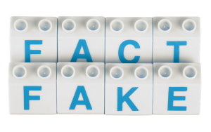 Bausteine mit der Aufschrift "Fact" und "Fake".
